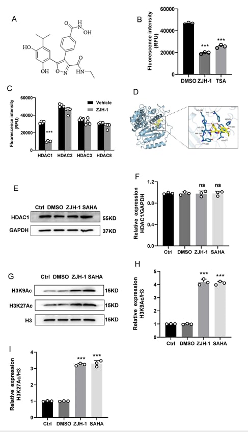 图1 ZJH-1对PC3细胞中HDACs活性和组蛋白乙酰化的影响