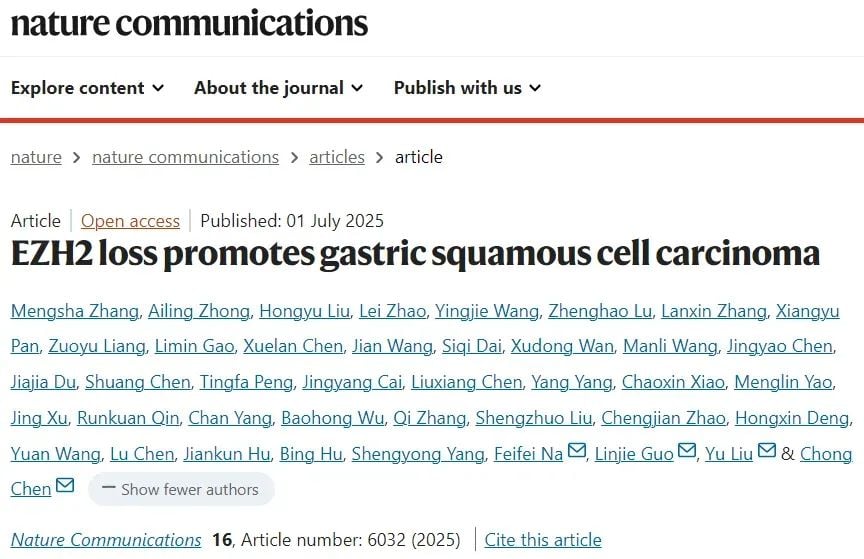 胃鳞状细胞癌研究图示