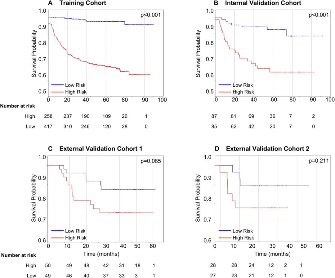 CerviPro模型预测DFS的Kaplan-Meier生存曲线