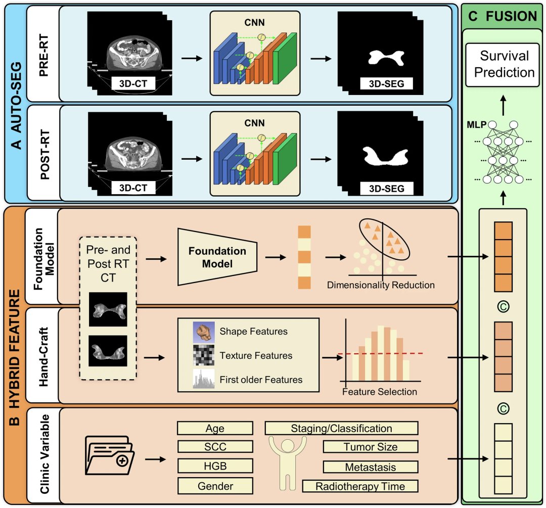 CerviPro模型框架