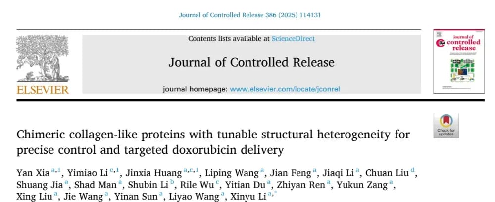 2c6abd5ab7d94d2c924d675f2fb3e96a-TqDI1Xw