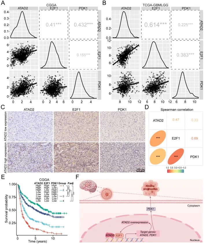 4f8adf785e6447d3a367481ba1687414-3zhqv84