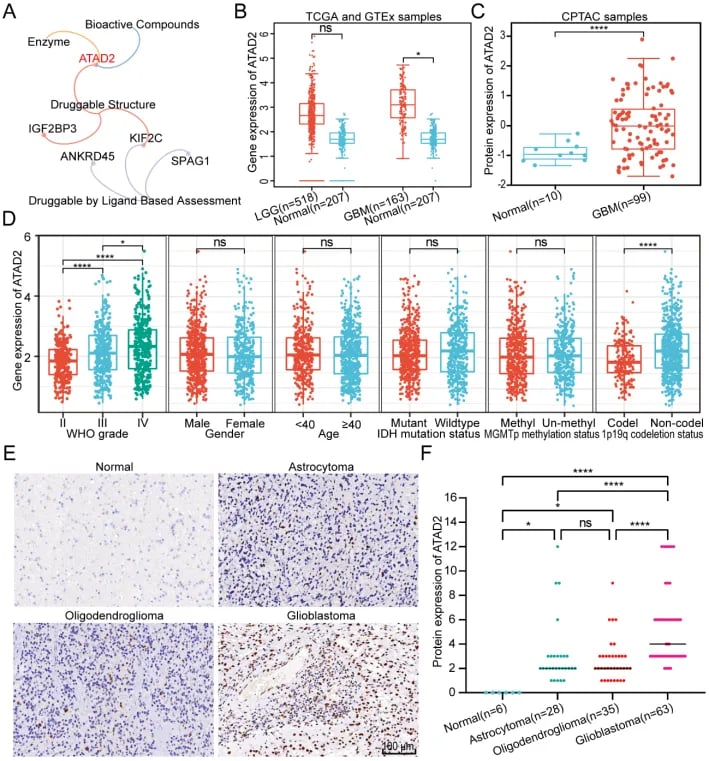 5386a6bdacff486890a648f6309f4a80-vW8aOjC