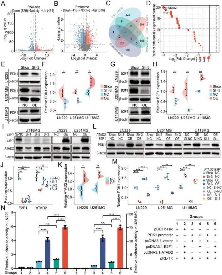 da3d046bc35f4d5aa65b7a93e56c68b4-LoD95qZ