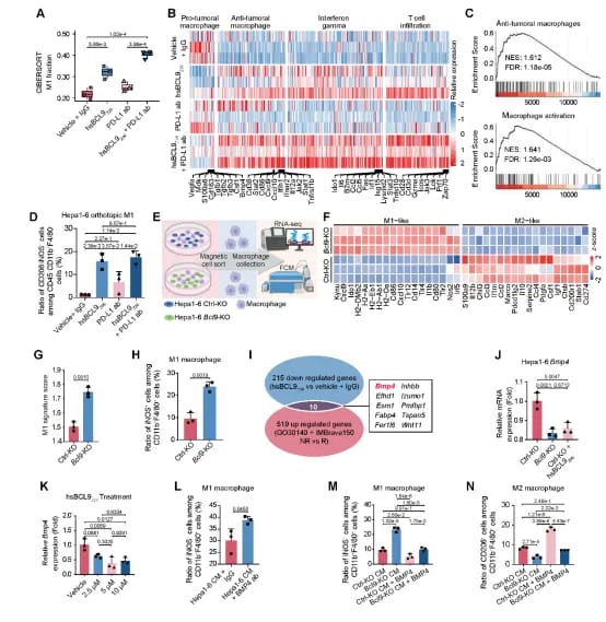 f5ba6246baaf44ce96996a9dd799a184-5f7njKA