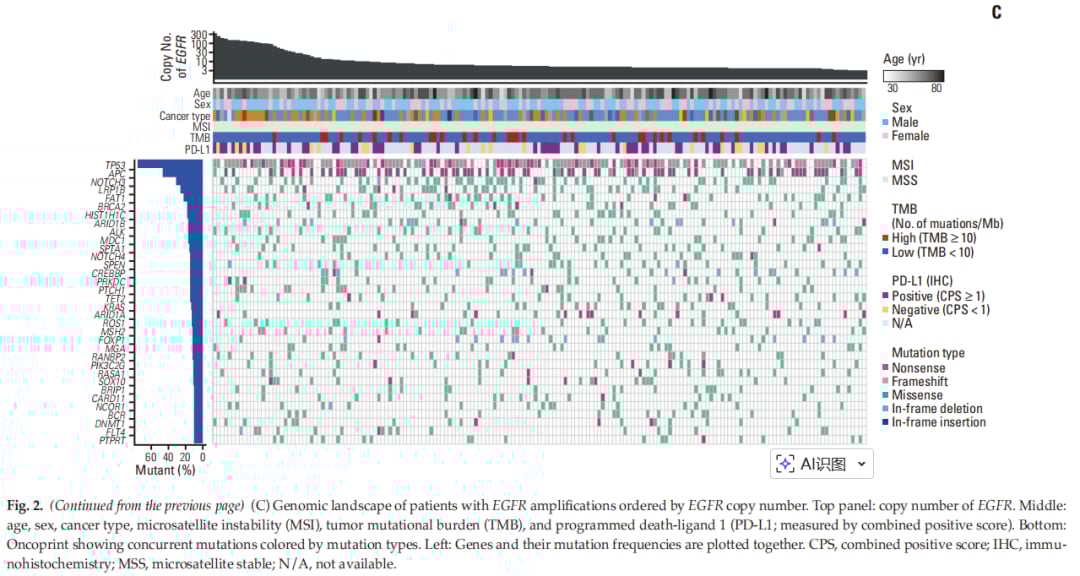 图2C：EGFR扩增与其他基因组特征的关联