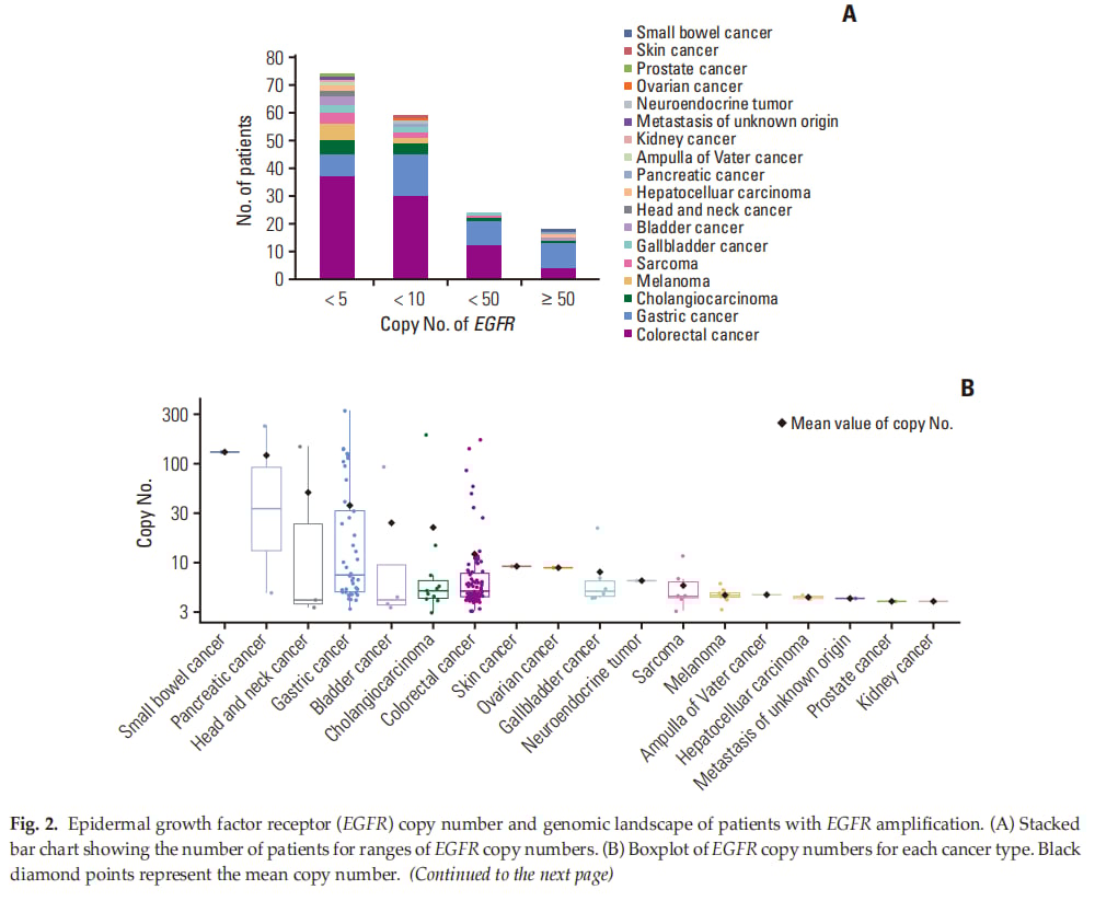 图2A/B：EGFR扩增拷贝数分布