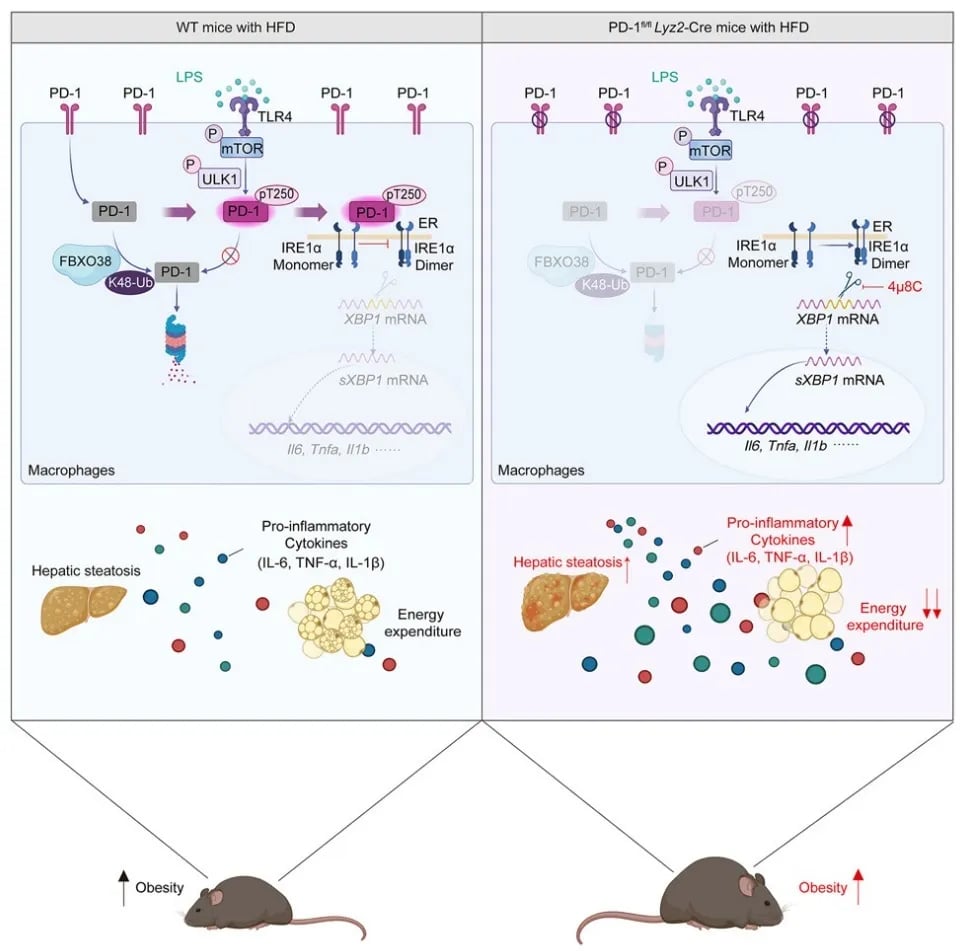 82ec6af2bd444488a202e8424ac59d6d-MYv5QqT
