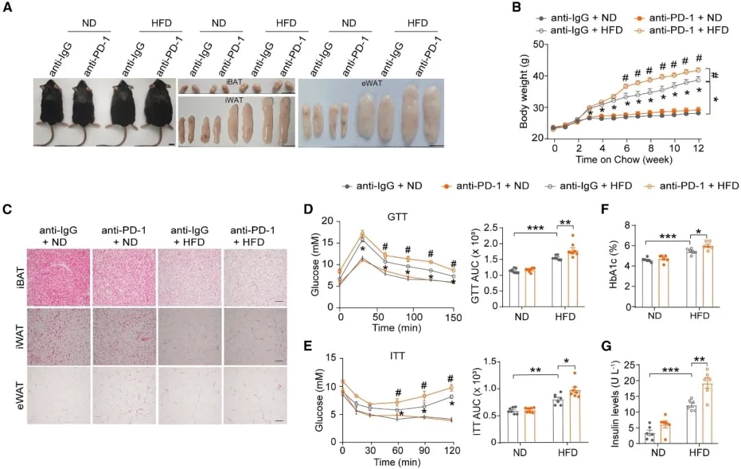 fd0752b5ab134f4ca13377d2afcf459a-xuiTSwD