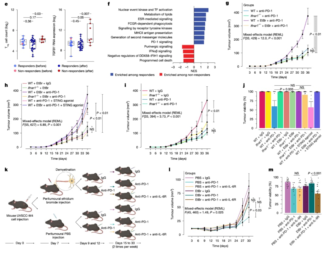 48549d44d8f64fba9e4b4cf08ea84e5d-CWGdEQK