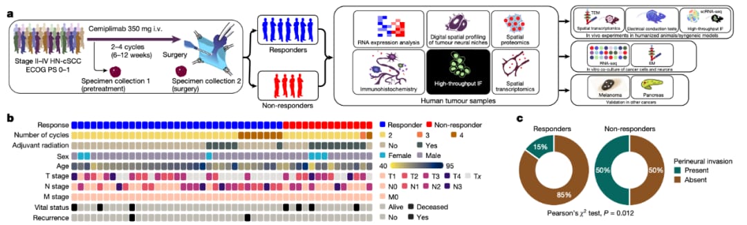 728cceebeb1c4da88b9cab4e9c80ff7b-rKsve6j