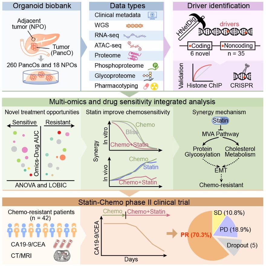 abe38aaad29241cd86618656daeefafc