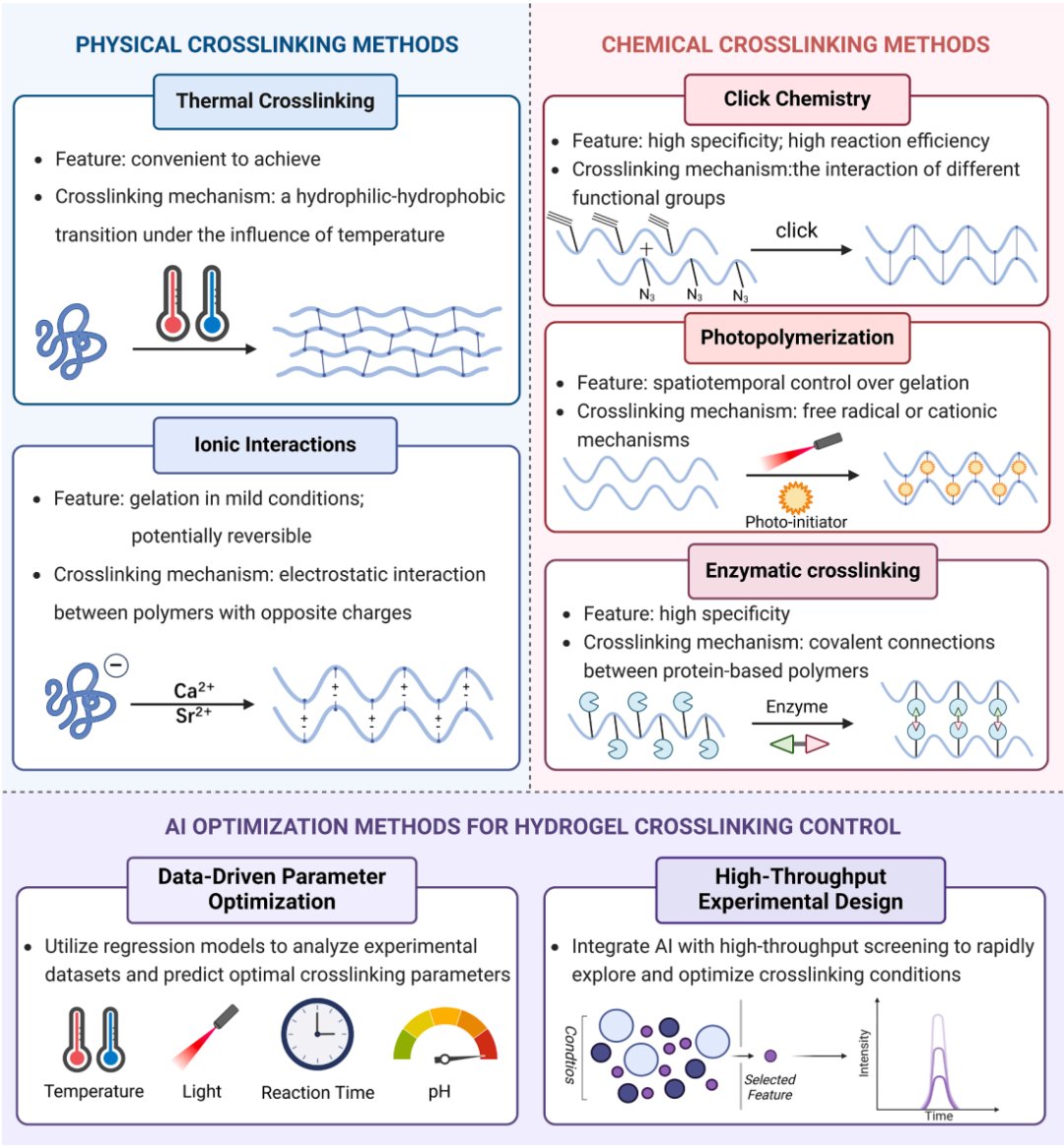 367d641b684d4654994ea2e36a975e3d-6kidk9H
