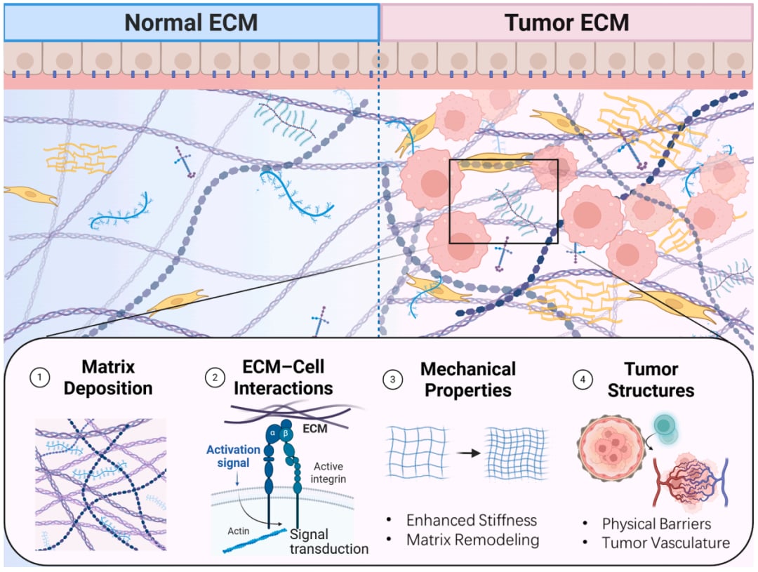 5e5cdbc802b44bb489ee80a619294e39-OqBkS5S
