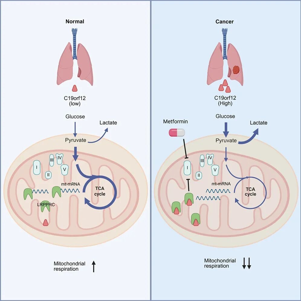 a39c19c31e9c4ae0810886c5d73f34d7-8djshHc