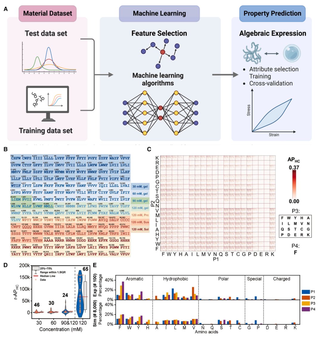 c1b1c72681bf476f94ed1fd6512ab6e5-iqZ6pJ7
