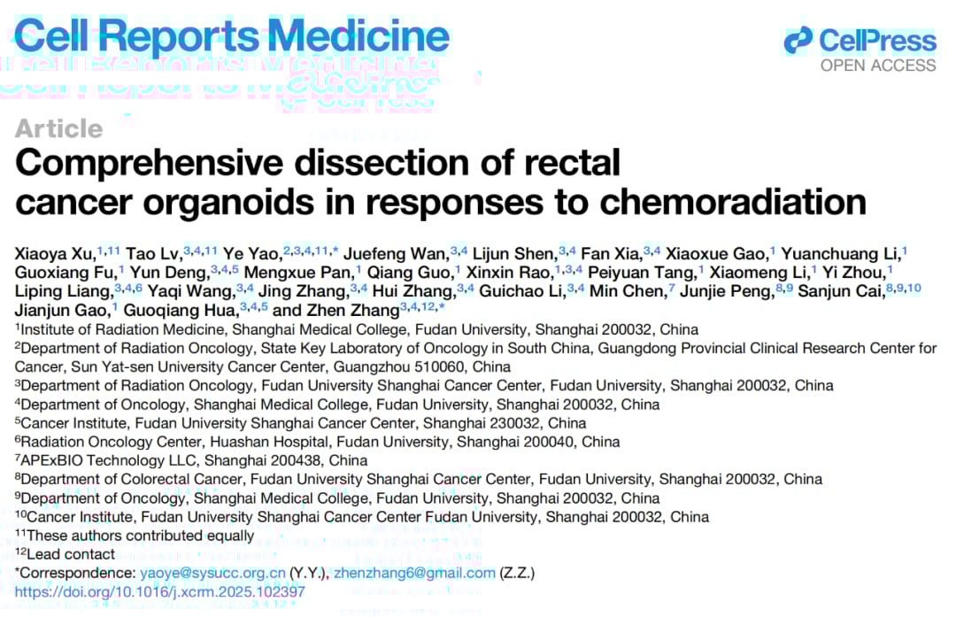 直肠癌类器官研究