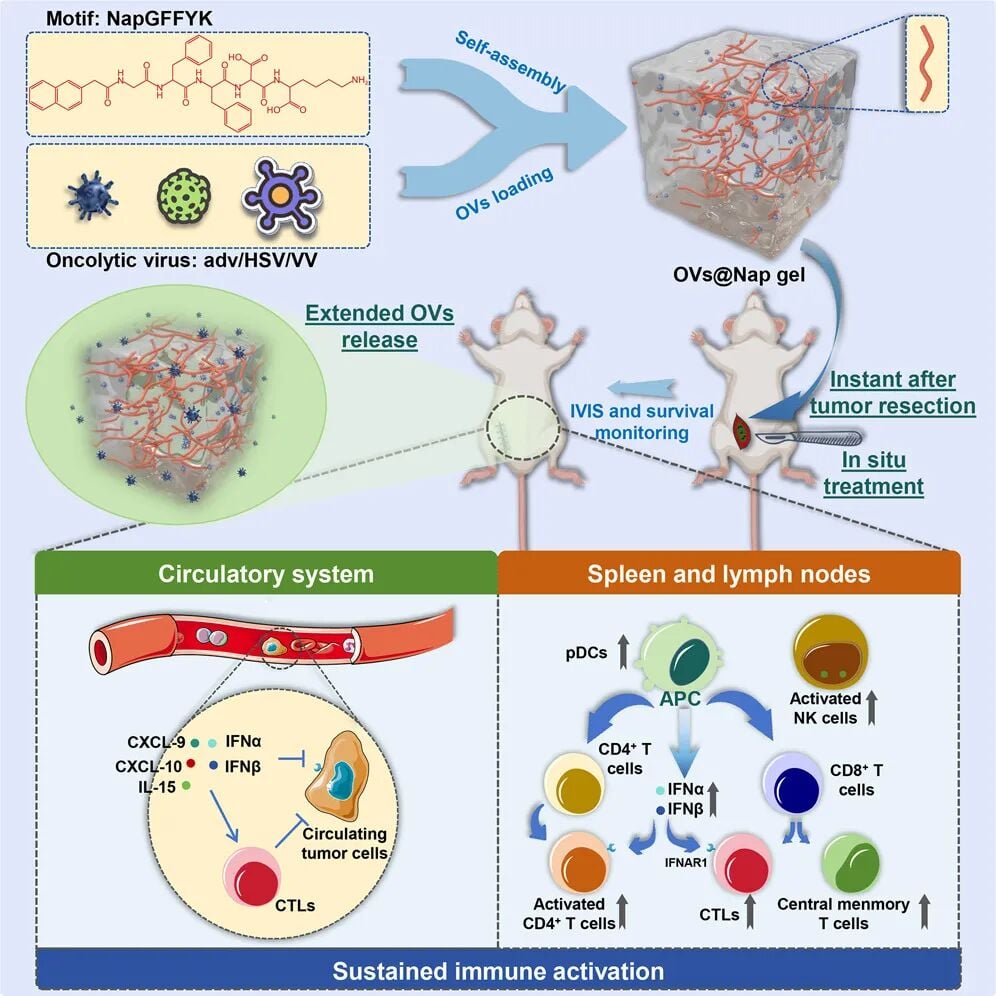 00c7fdbdcbb841d7a7b164925c624dc6-IwIRgLJ