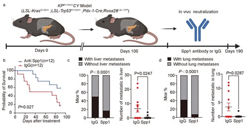 2eb5031b6f104b7eb22b85288ad49f6d-qbip1zw