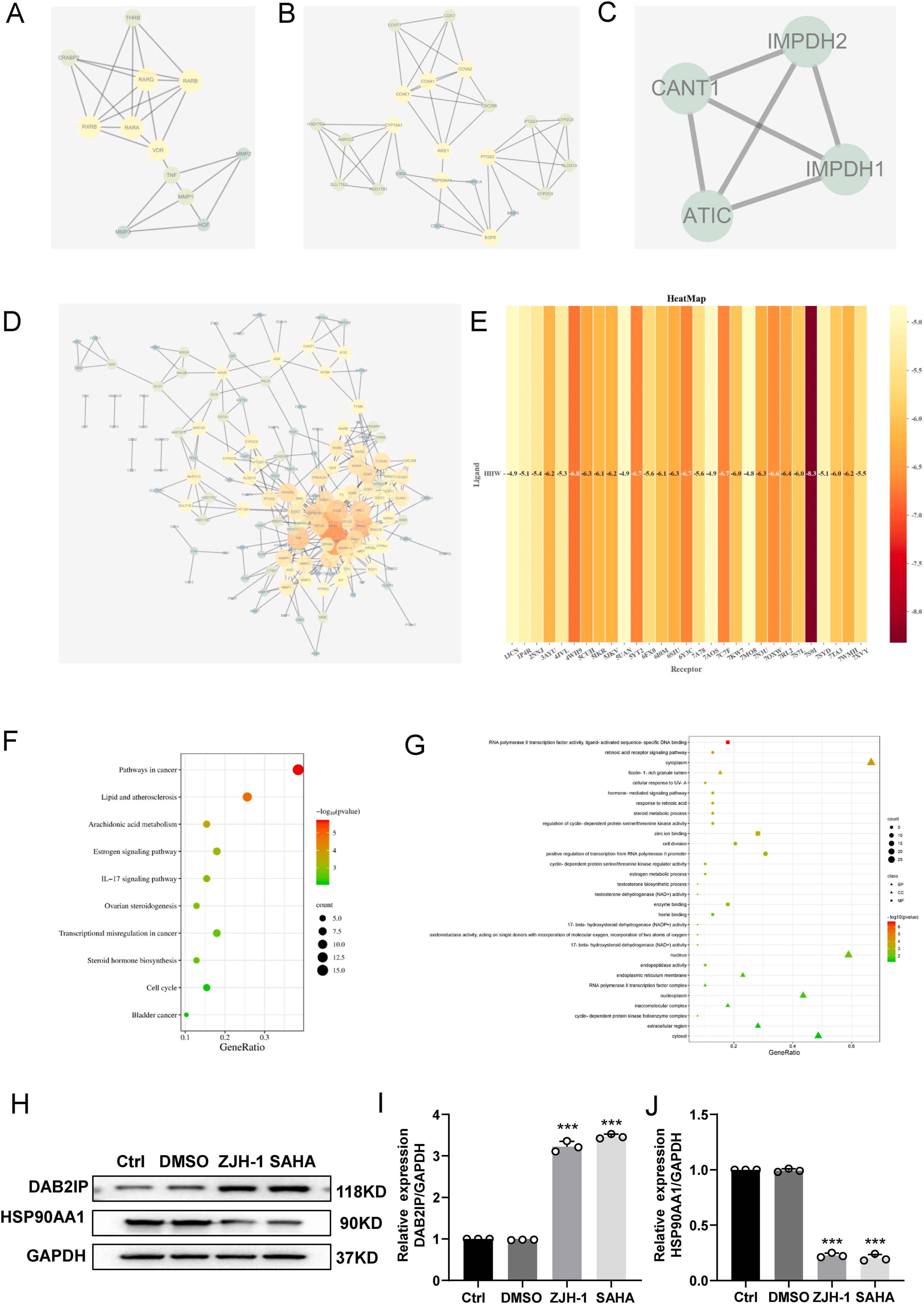 图5 ZJH-1的药物靶点预测分析