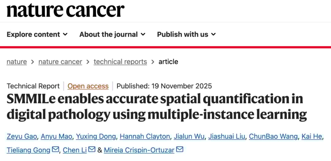 11fa782ff7404d7b9f01c364e716ba8d-NcMdzdk