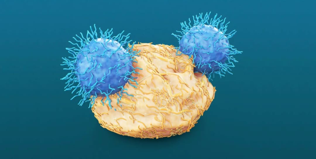 d06ef49c368f4e1db2b833a812e59443-mcuSWgY