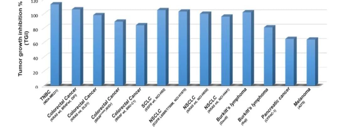 HCB101广泛且强效的临床前抗肿瘤活性