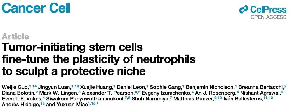 350eca4e9dc14eb7850e949021107376-gl4rnDg