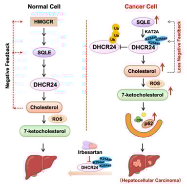 2c73ac4b9797471ab1c08dde9883c666-E6HwM8s