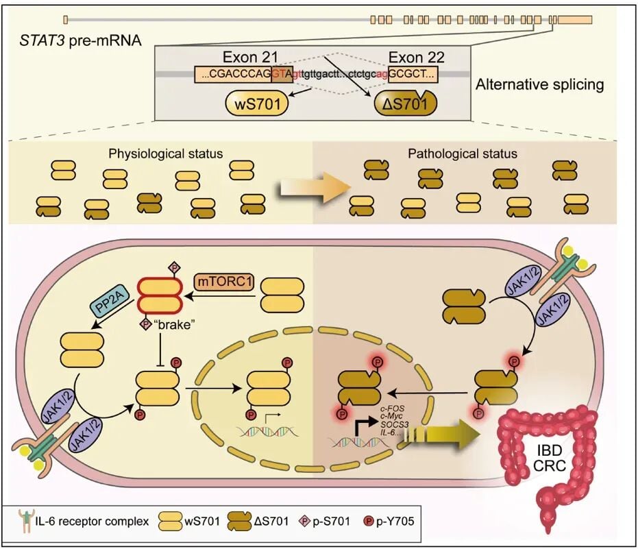6e4a5b6a6be141318d825bd474f22579-sNHuR0f