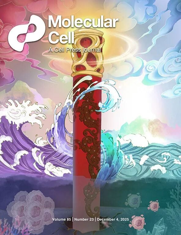 8403692c7ef3ef9e9b202ebc62f8e08d-NHrlWCi