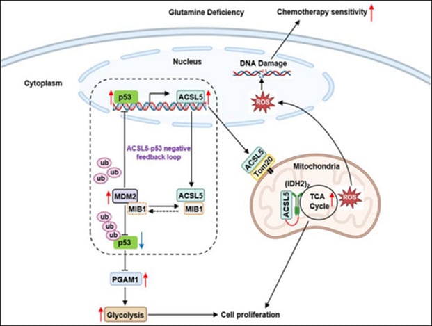 dc73b39399b04936b8d24e25c595aefc-kVgJntJ