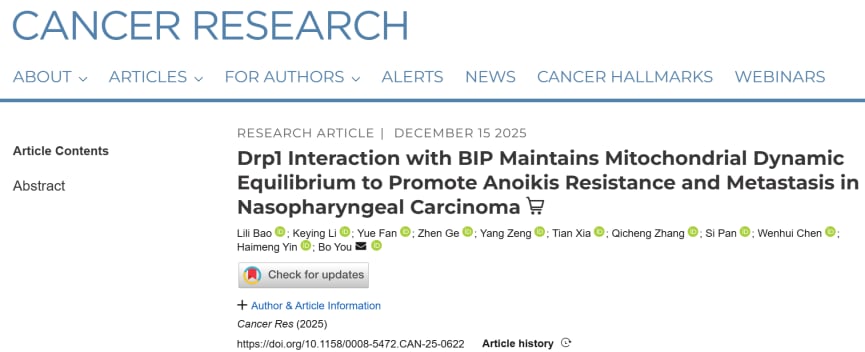 04ebc0883dfa4cd1b9ae2fb77d17f1aa-1zp0dgf