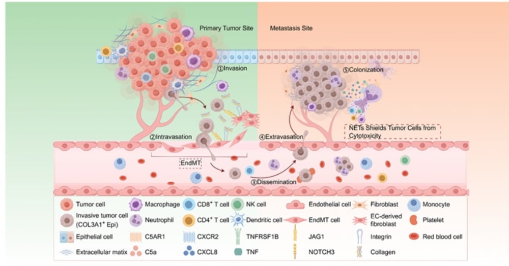 0871cc77639e4f799023245f44f208bf-dtZaB3e