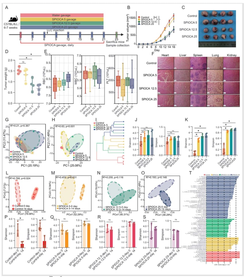373b3f242e0a47578e969082de8d6179-wDn4uSg