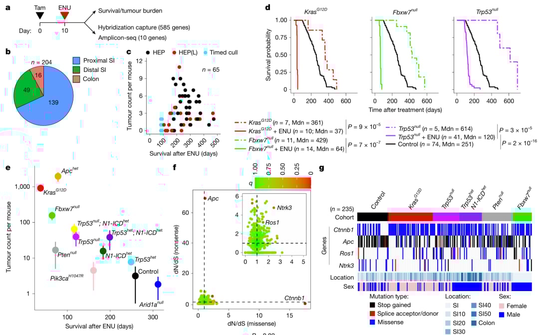 5845e62b152c40cfa3f377ce6f628dc0-BqyTLRQ