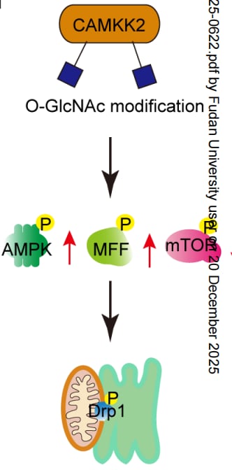 9fe03e53359a48ad9d264f1d10827876-iZkcgRN