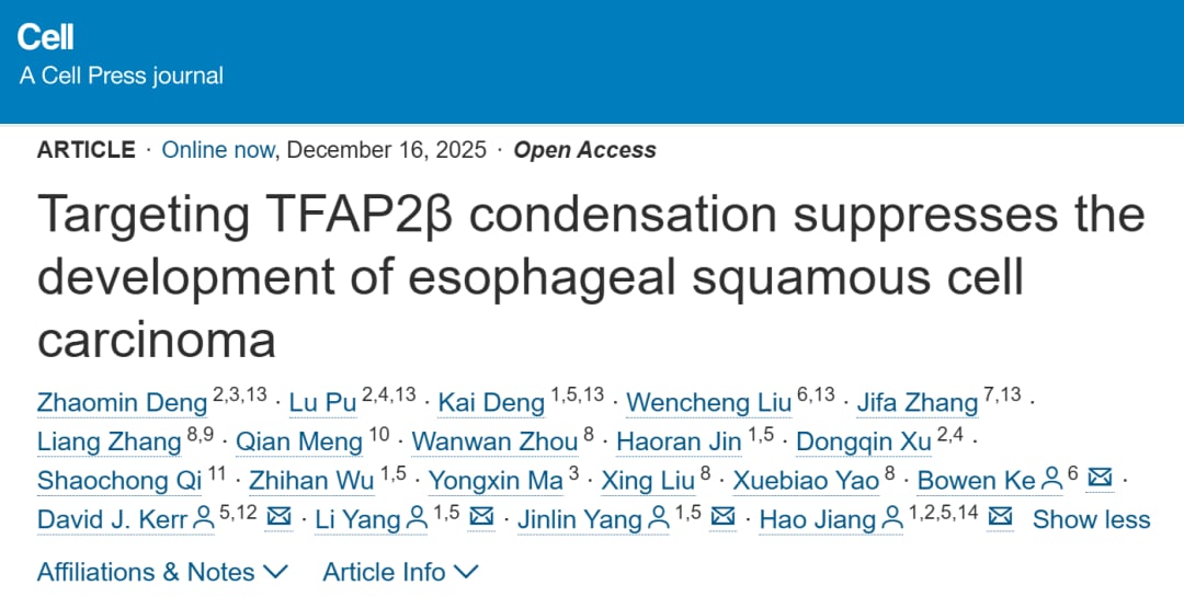 ba6dea3828c5407dae9e7756c826c17e-bNvMnOx