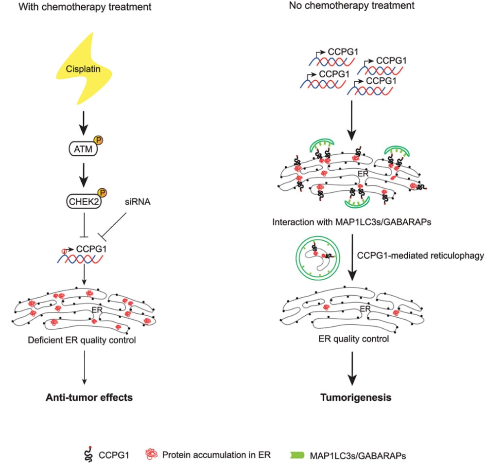 bcd73c22fdfa45eea5b50019c306379b-FHQcr72