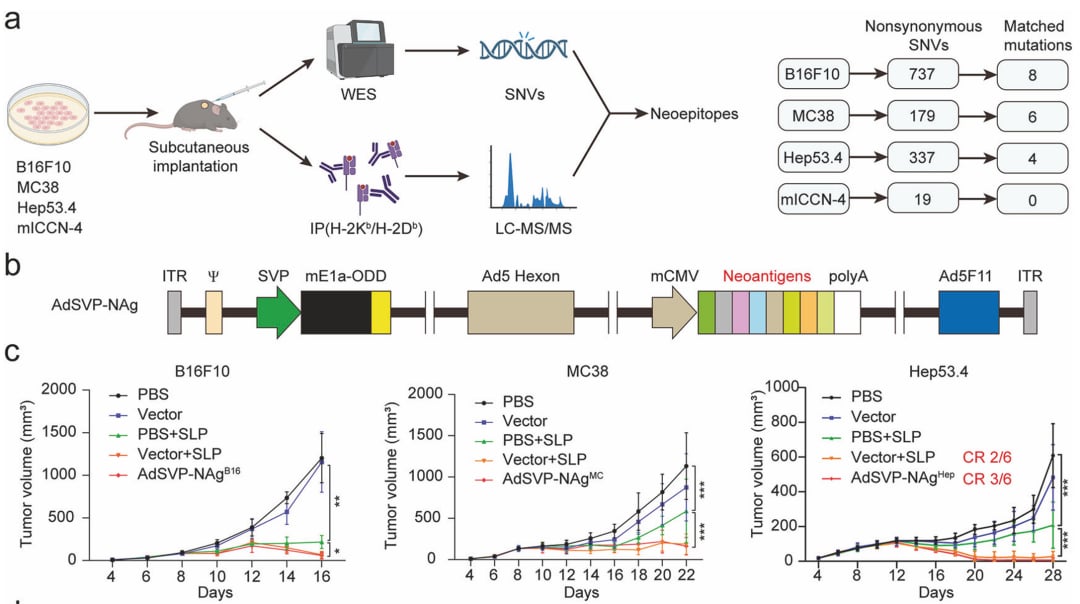 d7a5762031214346861a3c2dfd0c43ed-KQGQbpU