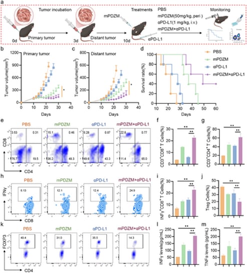 148bf0c869944f15845aba70f23d56ab-tss85mn