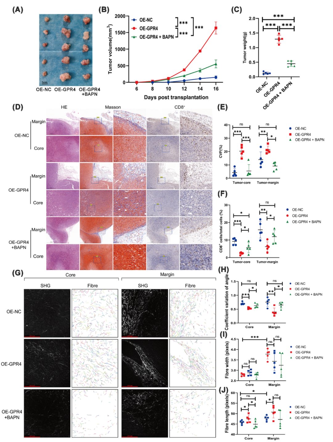 19033a920c1b41eb9d6e83de3d7-aCWwUxa