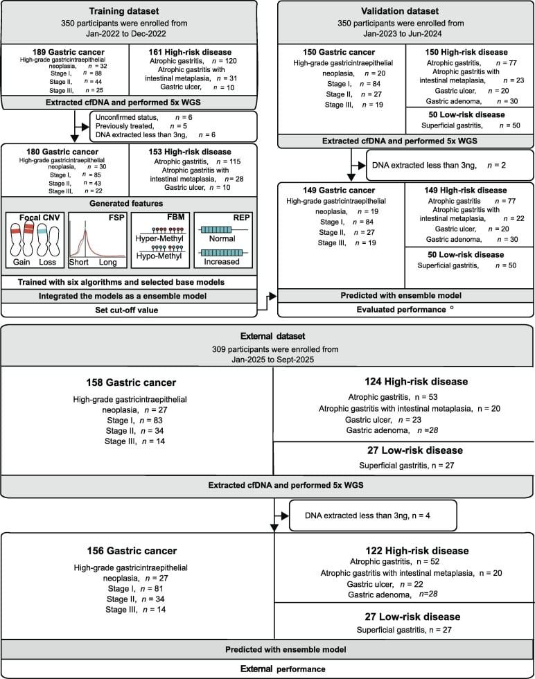 3e495c4ee6b2400bba94be403ec43902-KrOgDO4