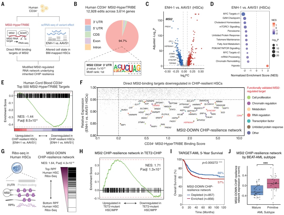 58471dae25f14944b635702c709e2996-Ky3jT8D