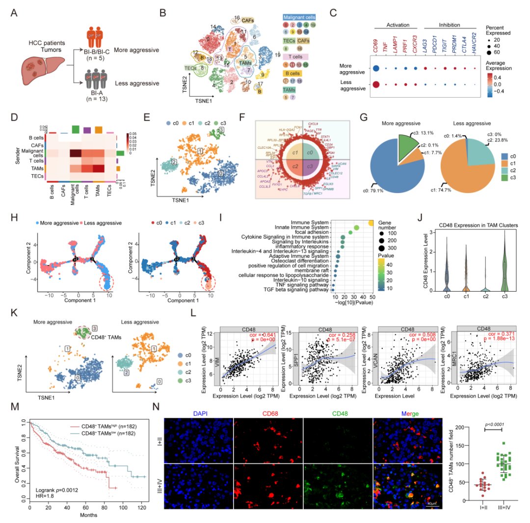 67c18a18249146ef8bbd8be6ed5878d2-DZUL8vT