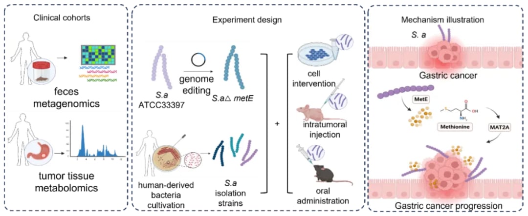 7b765952e72a45a7986dfeed6d1656fe-sCmd3uc