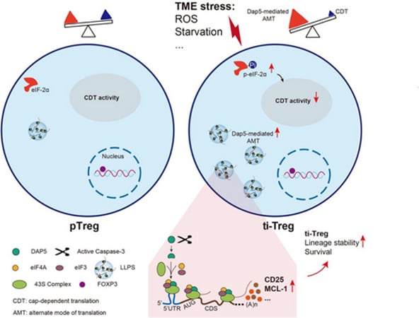 8d5c1a929398484792565d8447cf21a4-A5xjTxx