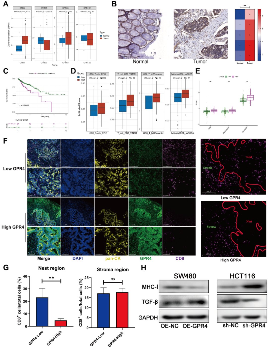 c6676f6fff144a0091453c9ca7a8fc64-XmxMDlZ