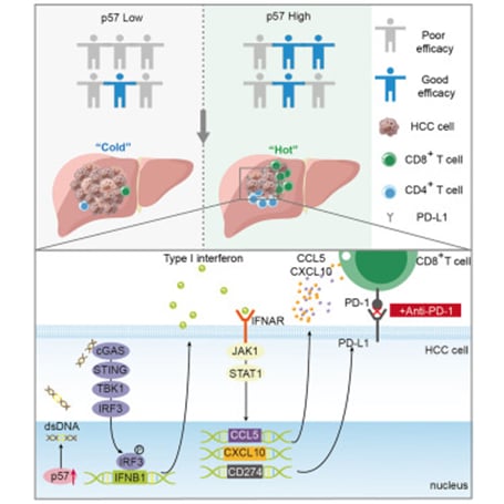 c9b3420d346441acbdfba52e6b0f8fdb-eoBfhoZ