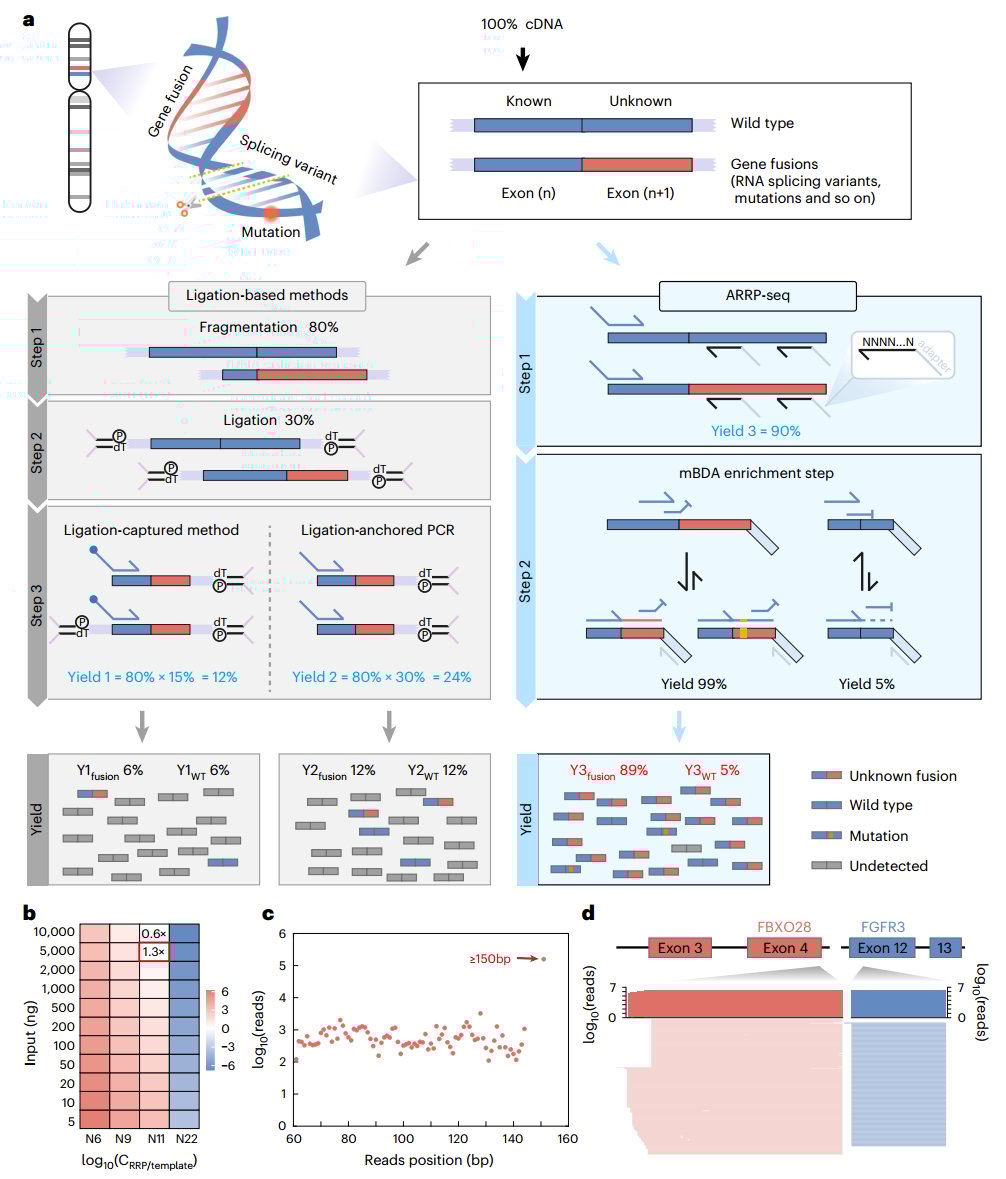 d2c8cca5536b4cd9a418ed2aecbb685e-Zh1fPeN